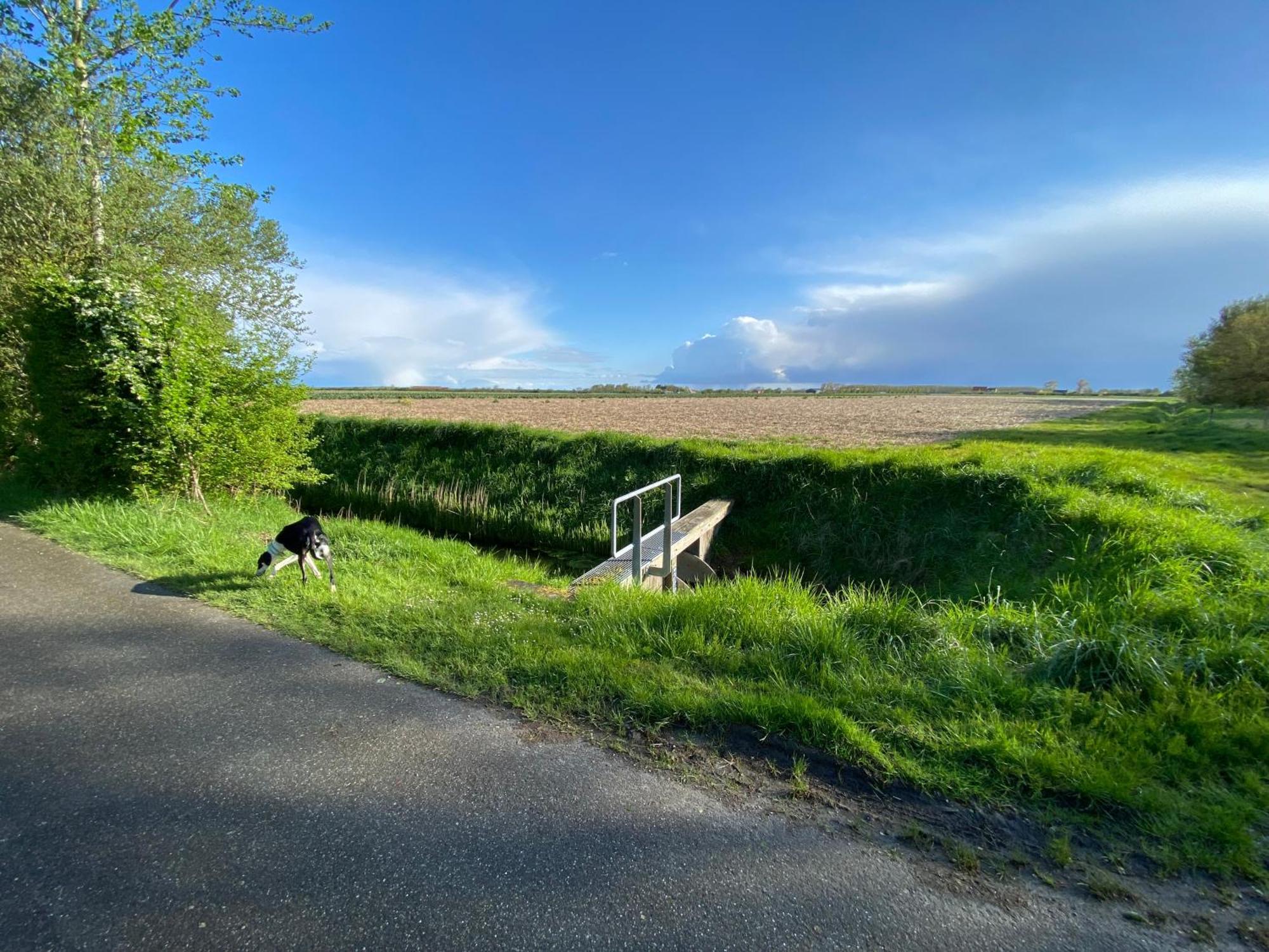 Vakantiewoning Westkaap Westkapelle Bagian luar foto